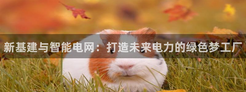 众腾娱乐客服